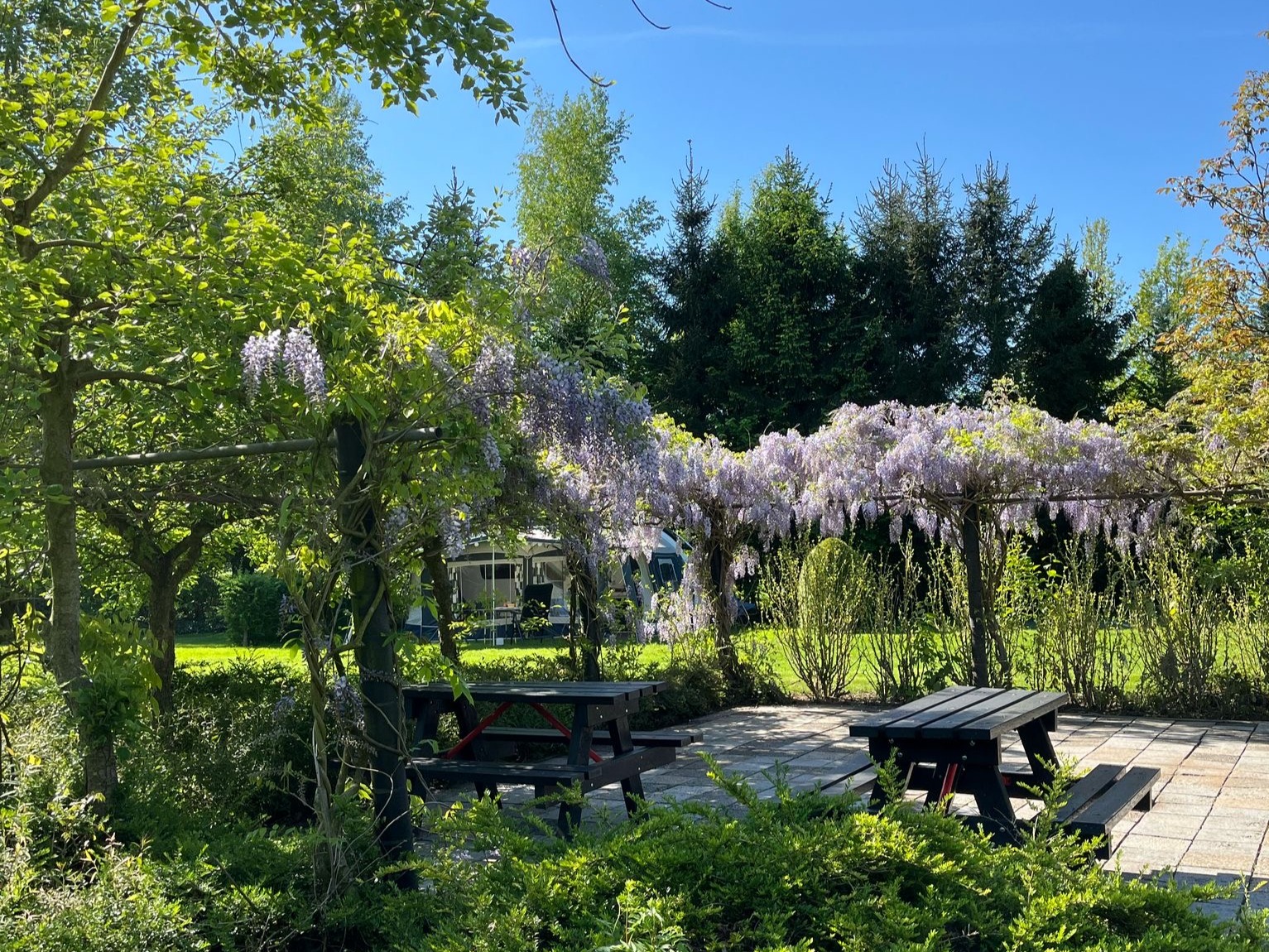 Camping De Groene Halte — photo 4